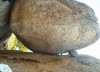“Sỏi đá cũng cần có nhau” - Suy niệm lễ cầu cho các Tín hữu đã qua đời